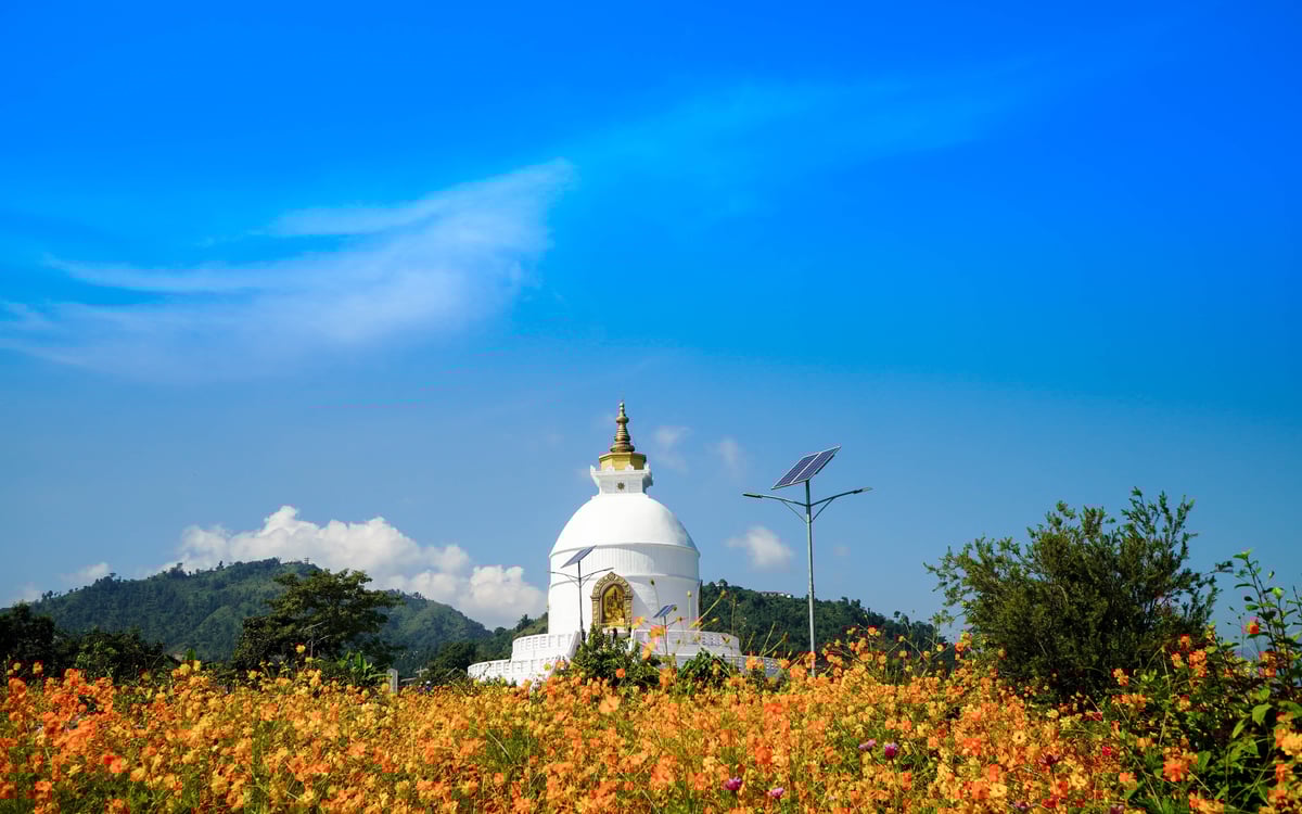 Cultuur & Natuur Familiereis in Nepal