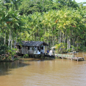 Rondreis Brazilië Amazone