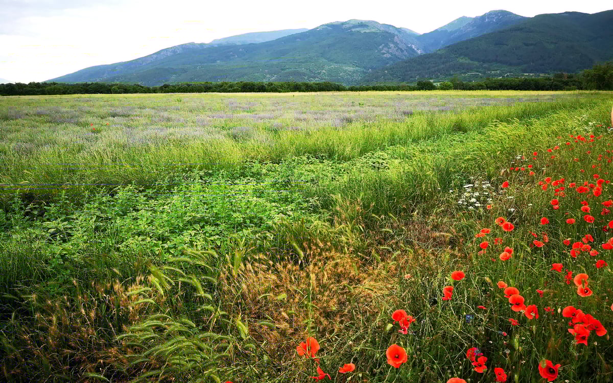 Familietocht in het Land van de Rozen