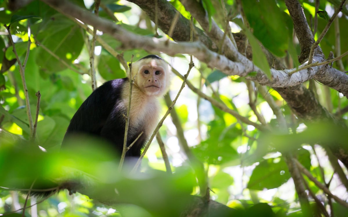 Familiereis langs de hoogtepunten