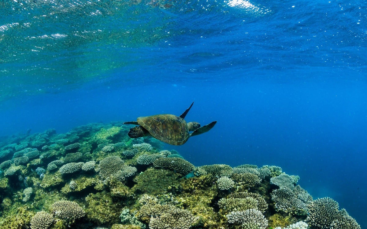 Een Avontuur voor de Eeuwigheid: Van Perth naar Broome door West-Australië