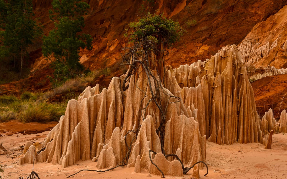 De charme van het noorden