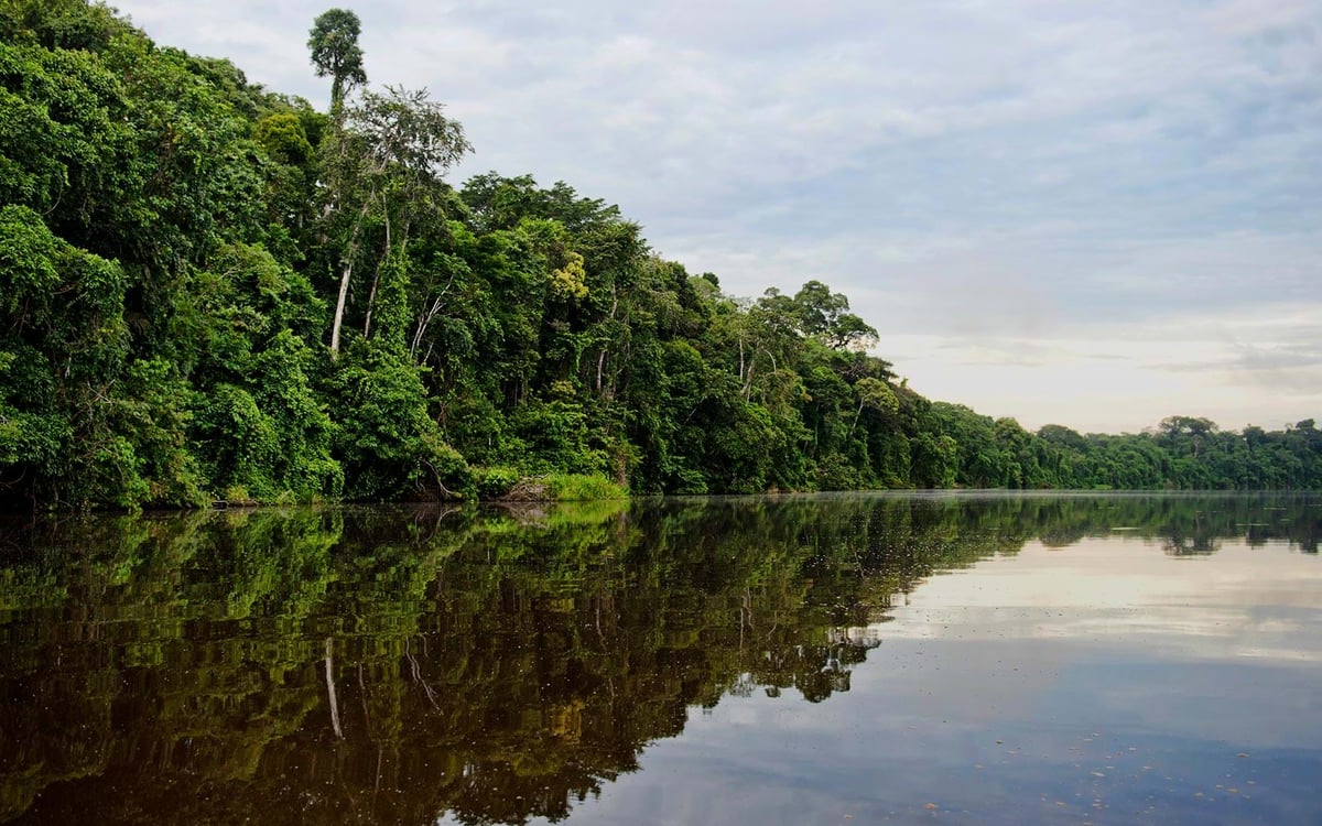 Highlights en nationale parken in een jeep met chauffeur