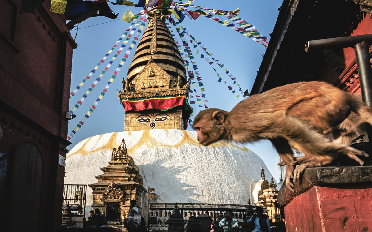 Gezichten van Nepal – Gemeenschap, Cultuur en Folklore Tour