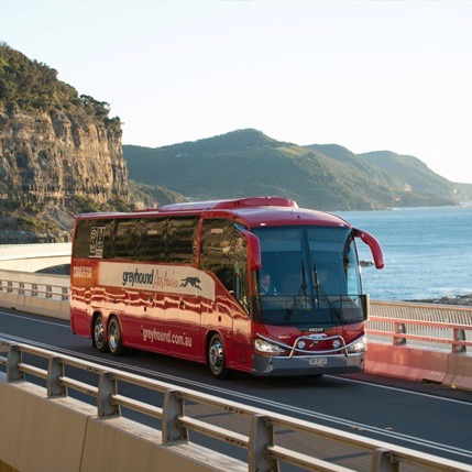 Greyhound Whimit Buspas