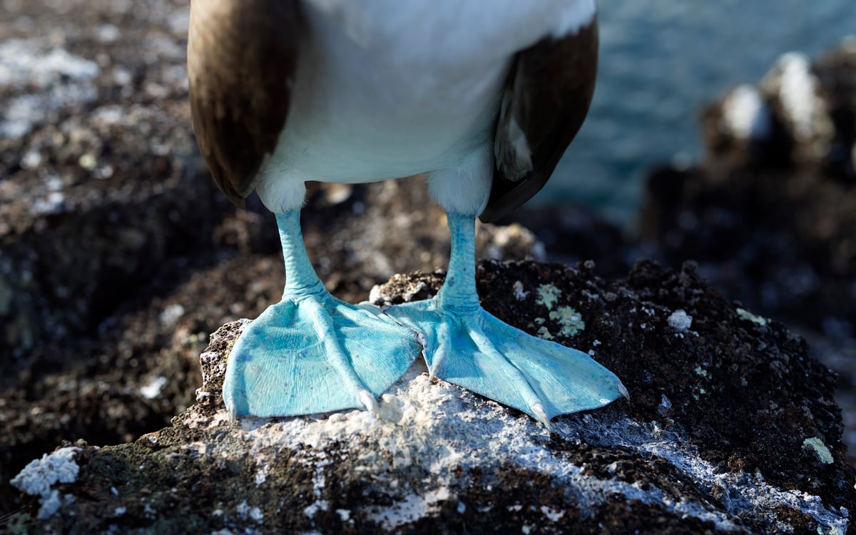 Eilandhoppen in het paradijs