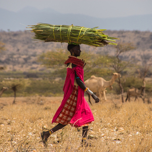 Rondreis Kenia & Tanzania
