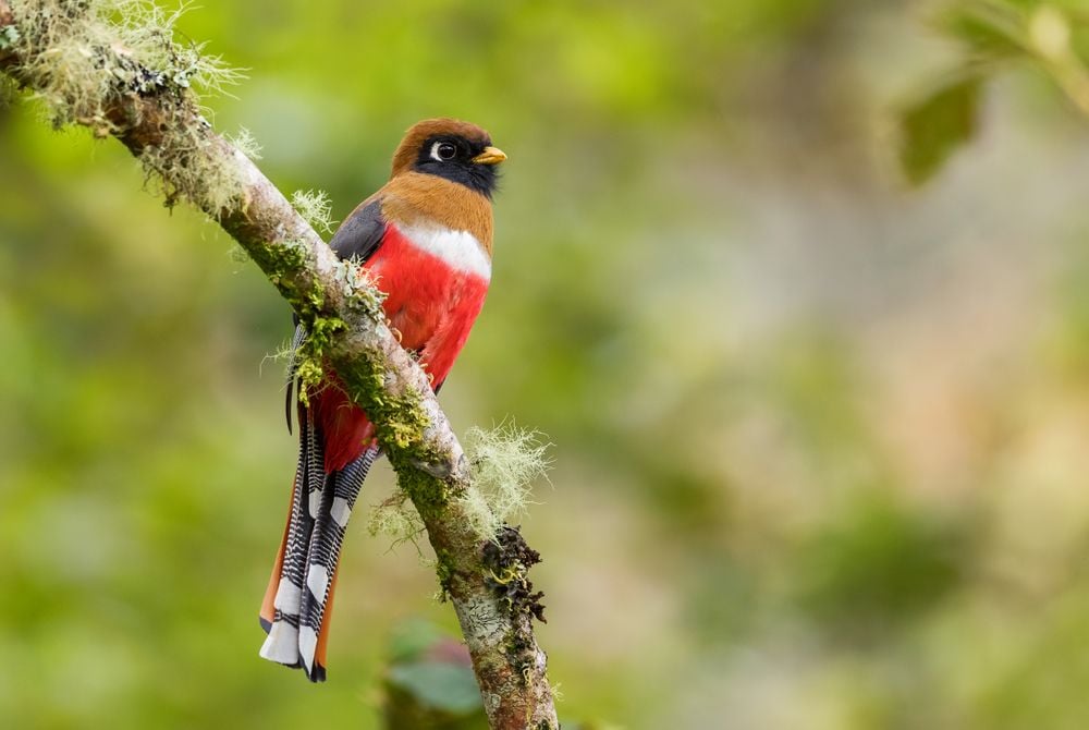 De charme van de natuur