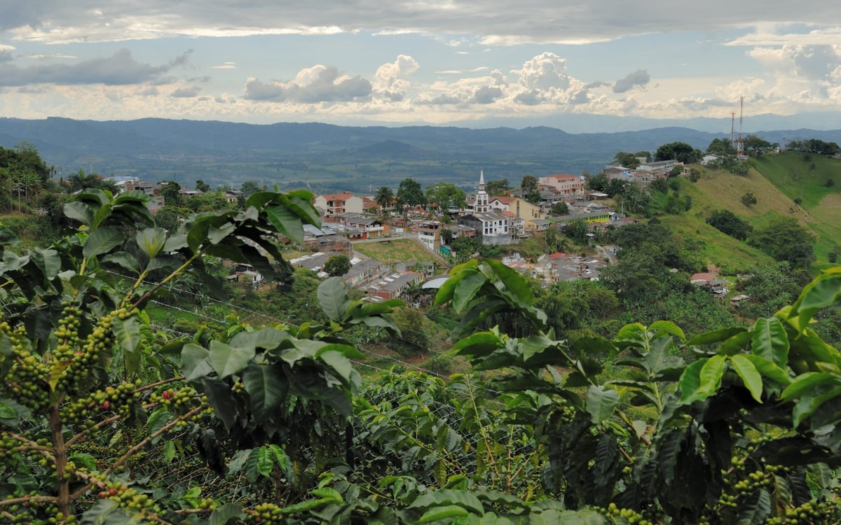 Ontdekkingsreis: Koffie en de Stille Oceaan