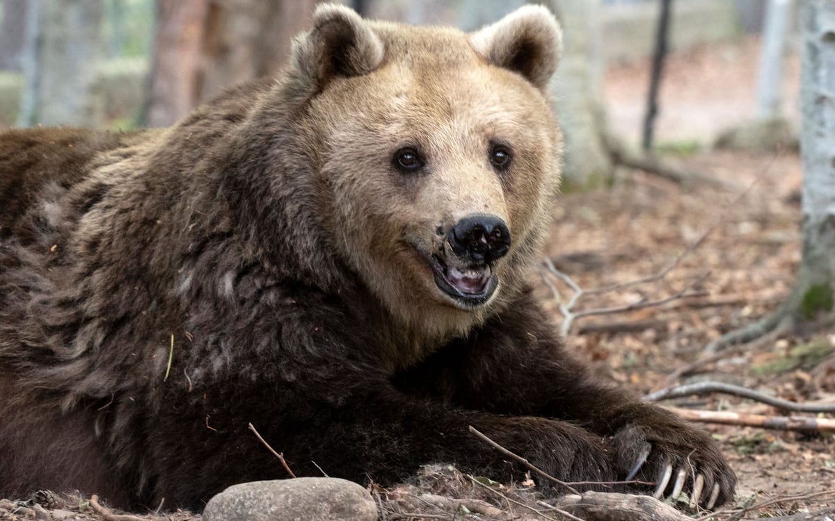 Familietocht in het Land van de Rozen