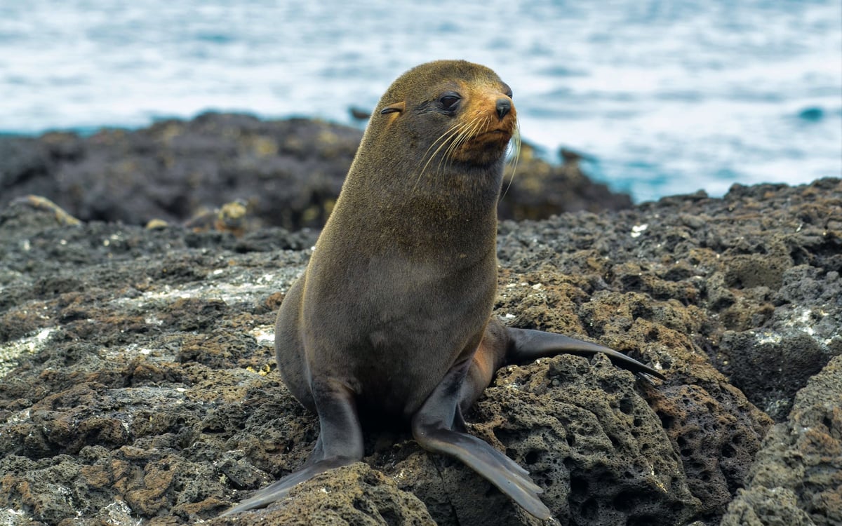 Natuurcruise langs de magische eilanden