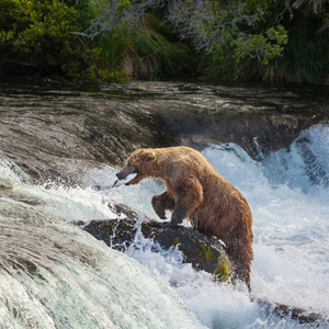 Rondreis Alaska