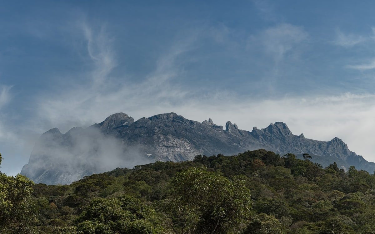 Ontdek de ongerepte natuur van Borneo