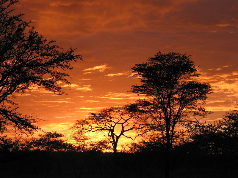 Groepsrondreis Kenia, Tanzania en Zanzibar