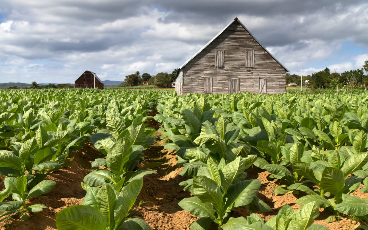Low carbon reis Cuba