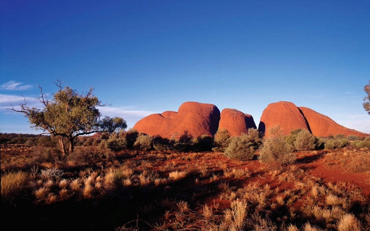 Kerst op het strand & Oud en Nieuw in Sydney: Een familiereis