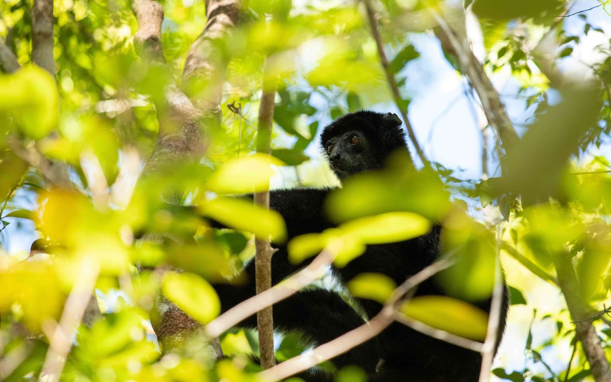 Het noorden van Madagaskar – geen binnenlandse vlucht nodig en een paar mooie “local experience”-mom