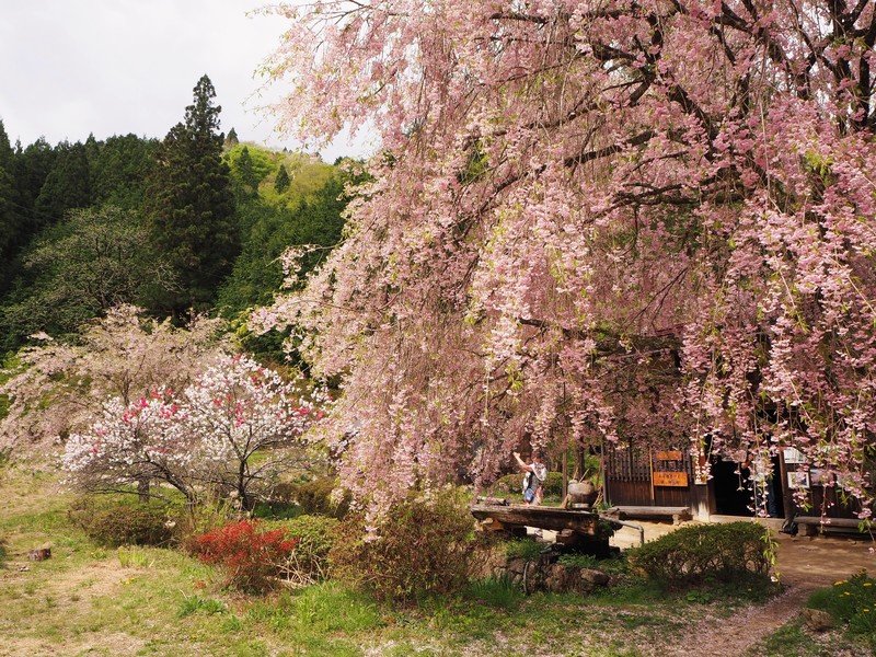 Groepsrondreis Japan Hoogtepunten