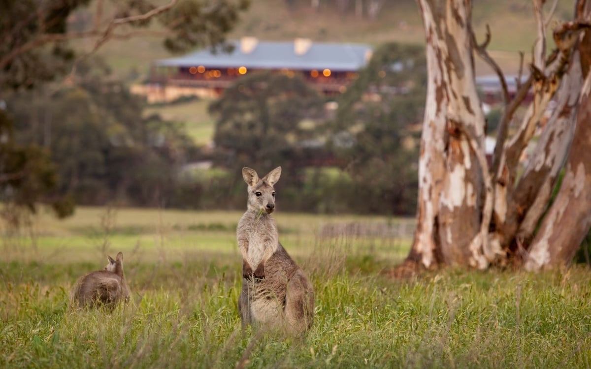 Kerst op het strand & Oud en Nieuw in Sydney: Een familiereis