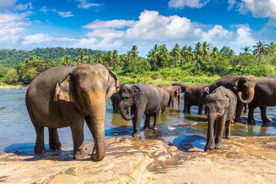 Familiereis Sri Lanka