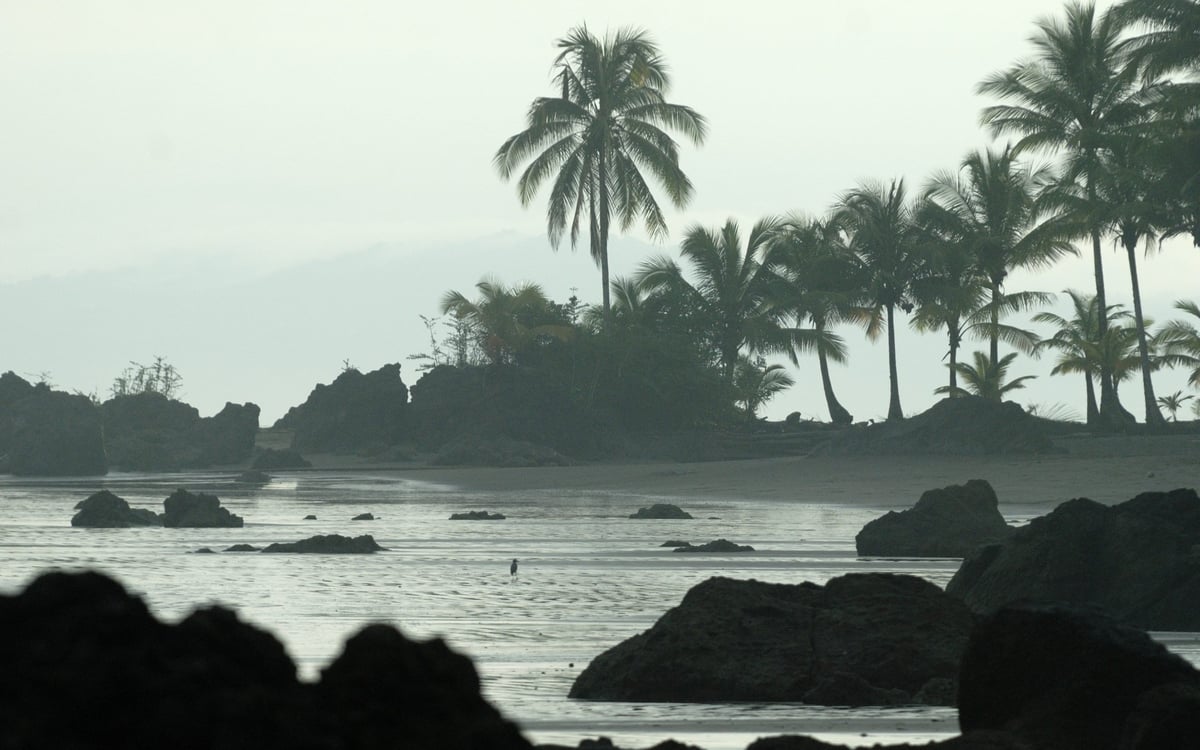 Ontdekkingsreis: Koffie en de Stille Oceaan