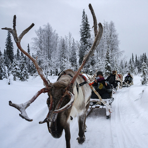 Familierondreis Lapland
