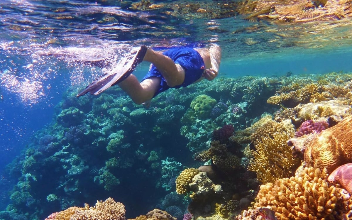 Familieavontuur voor uw tieners tussen paradijselijke stranden en tropische bossen