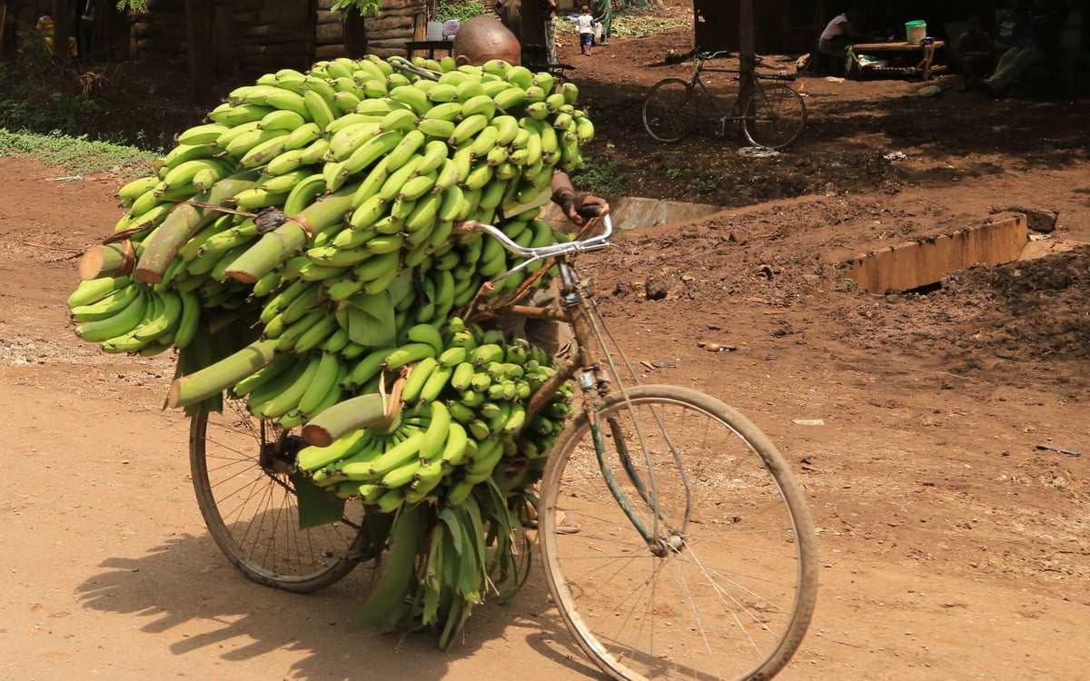 Ongekend wildleven in Oeganda en Tanzania