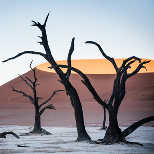 Rondreis Namibië