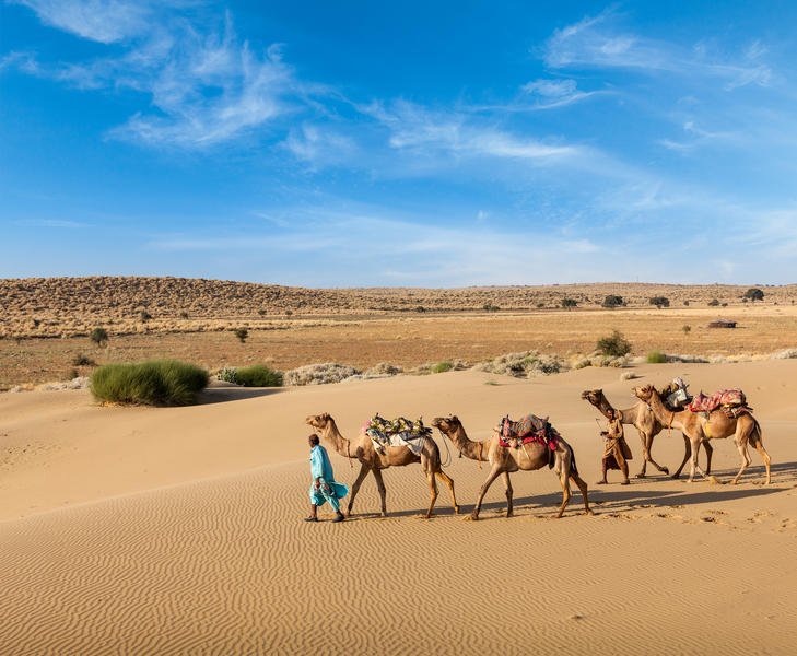Groepsrondreis Noord-India Compleet