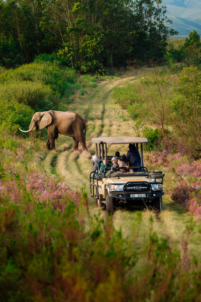 Familiereis Zuid-Afrika en eSwatini – kort