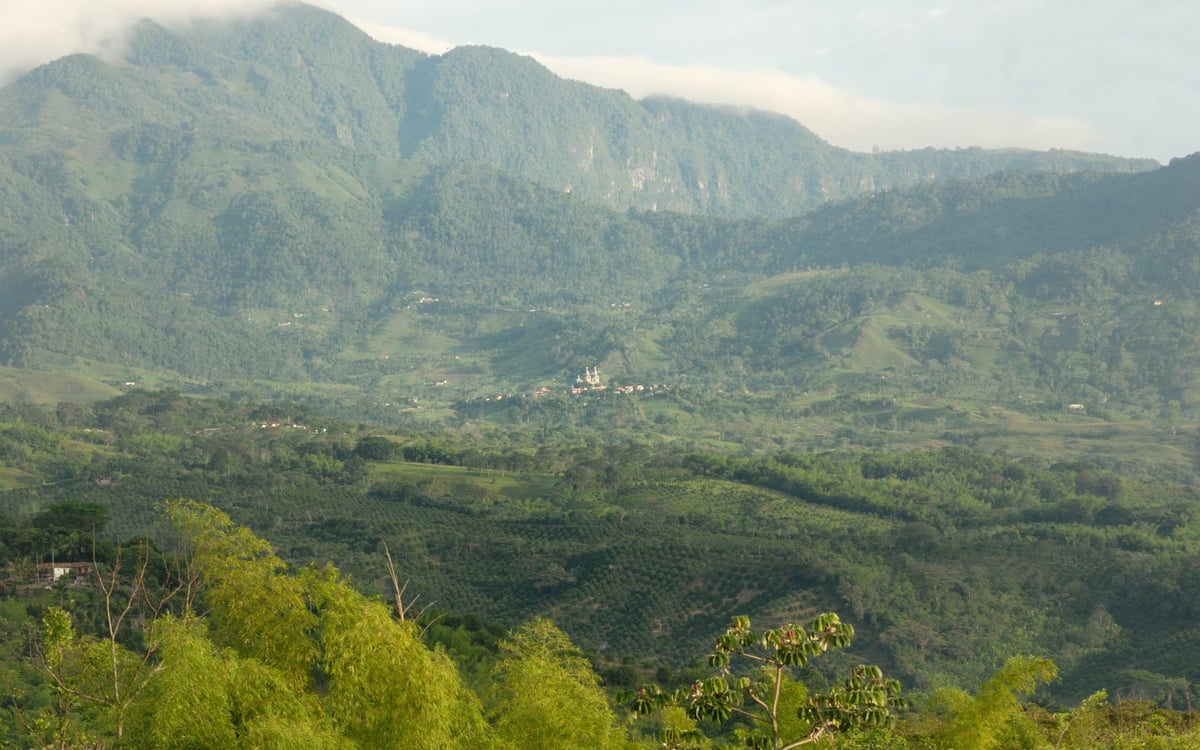 Ontdekkingsreis: Koffie en de Stille Oceaan