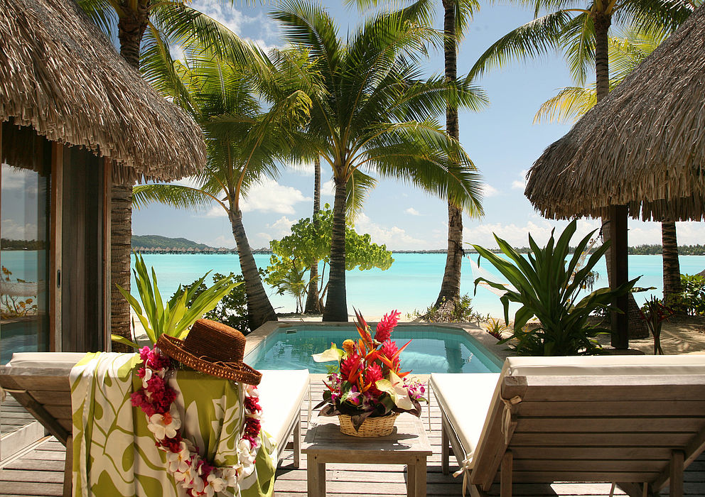 Droomreis – Nieuw-Zeeland en de Stille Zuidzee