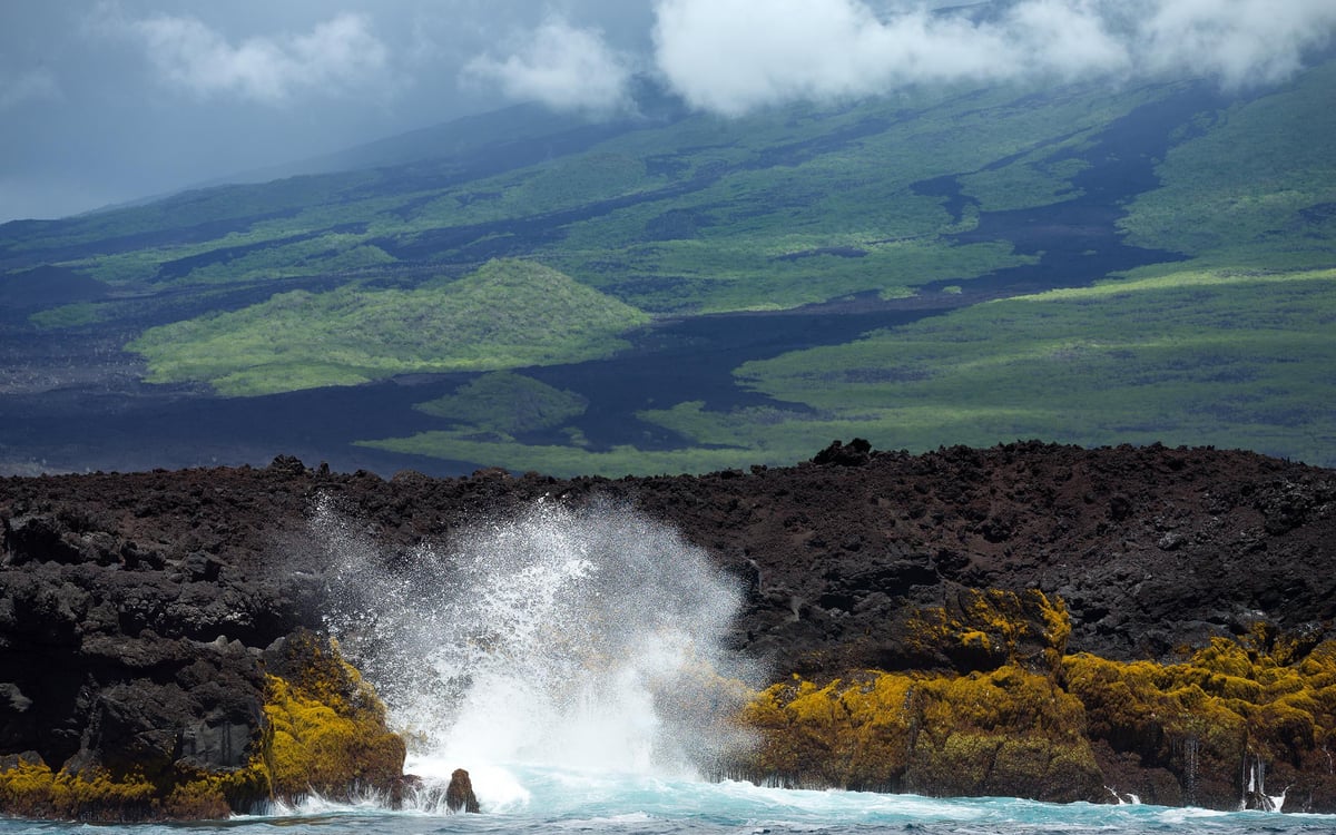 Natuurcruise langs de magische eilanden