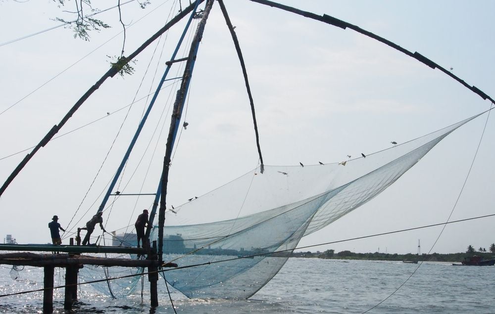 Actief door het dynamische zuiden