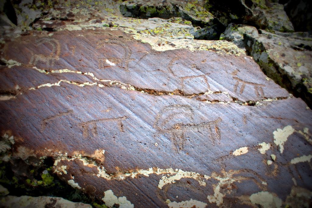 De verborgen juwelen