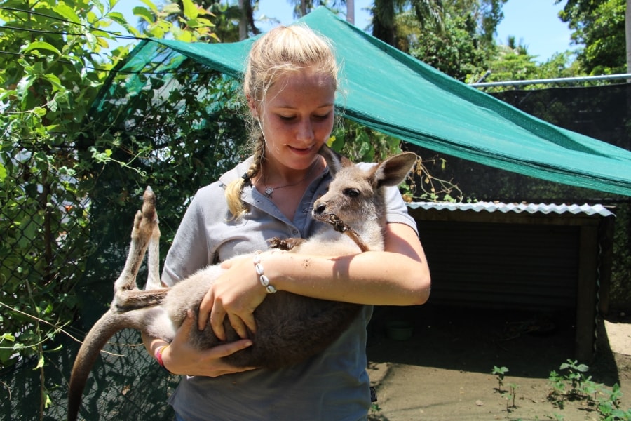 Port Douglas Wildlife Habitat 4-8 weken