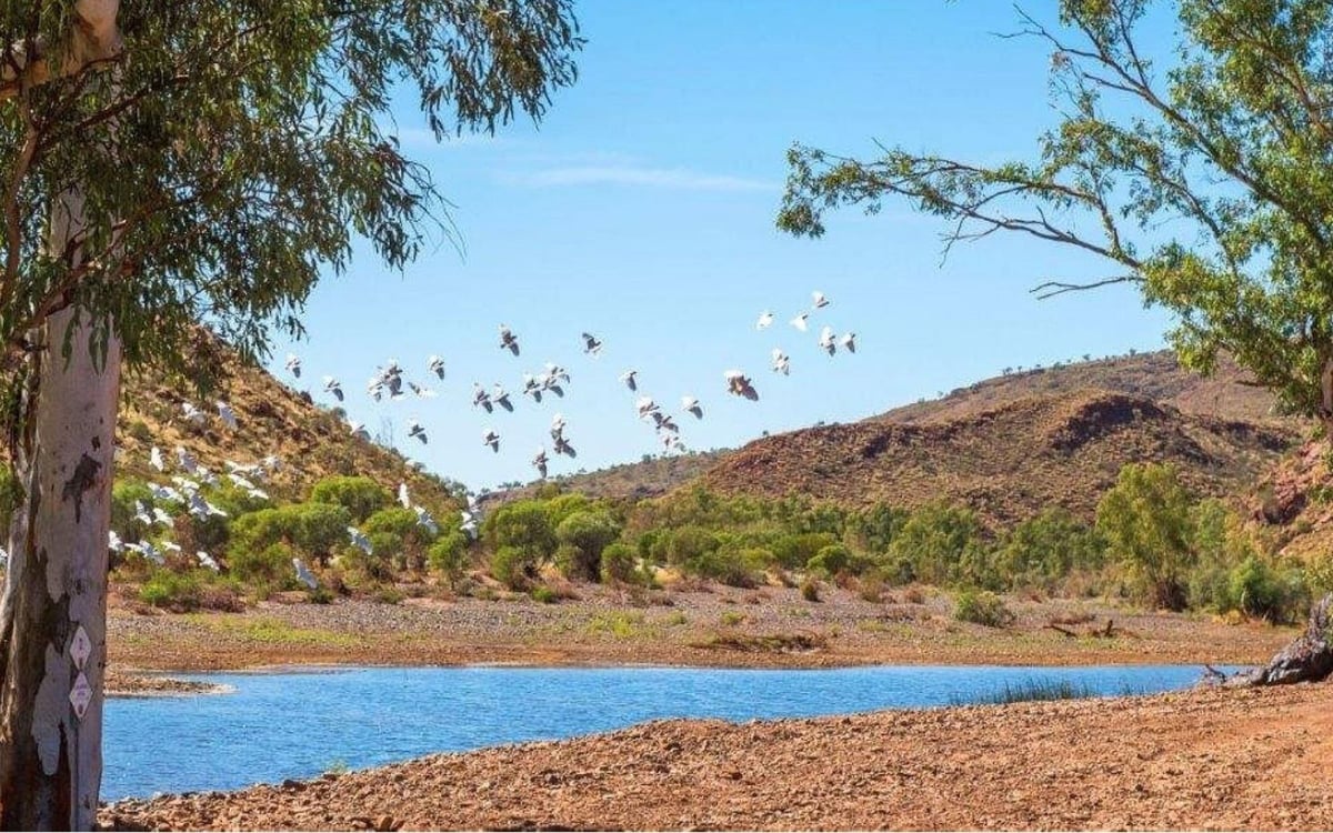 Een Avontuur voor de Eeuwigheid: Van Perth naar Broome door West-Australië