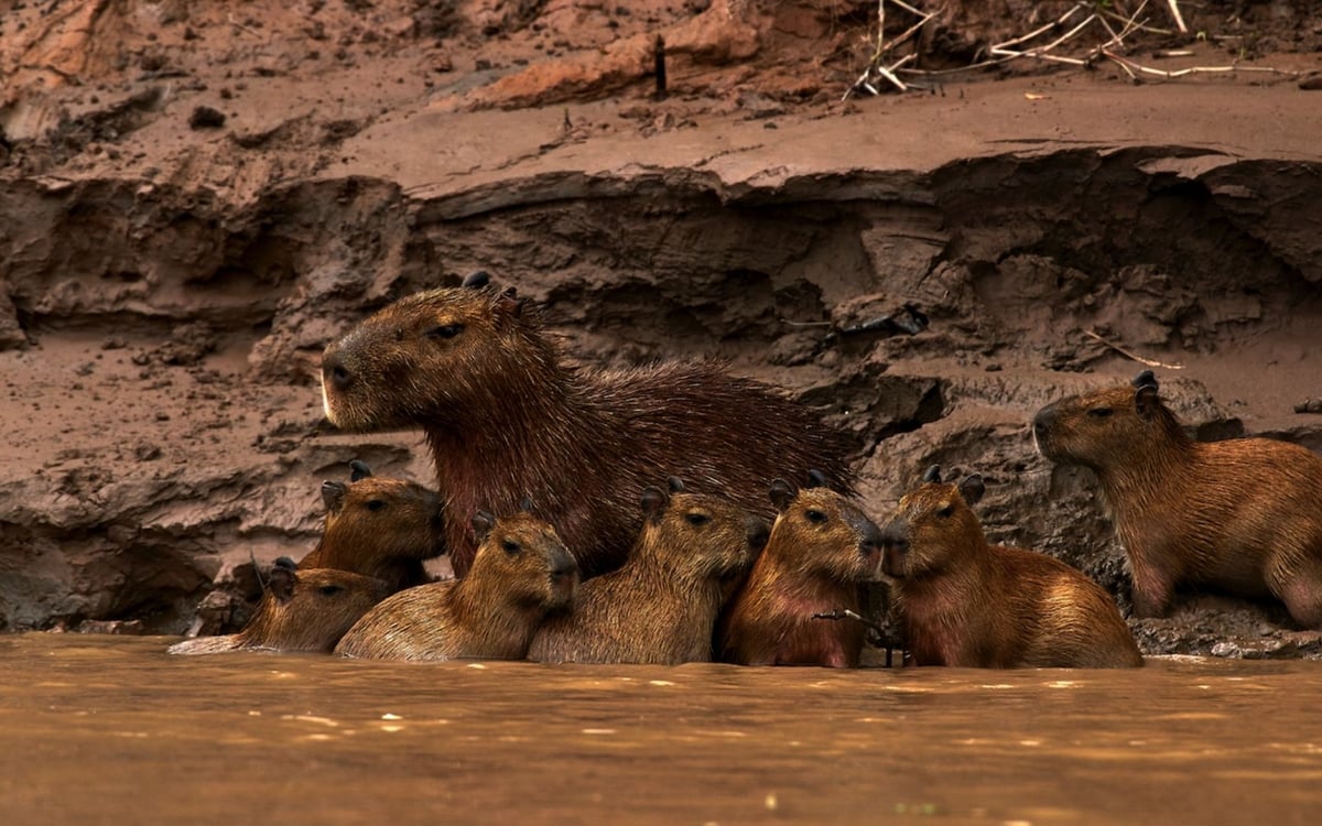 Actieve familiereis met een onvergetelijke trekking in de Andes