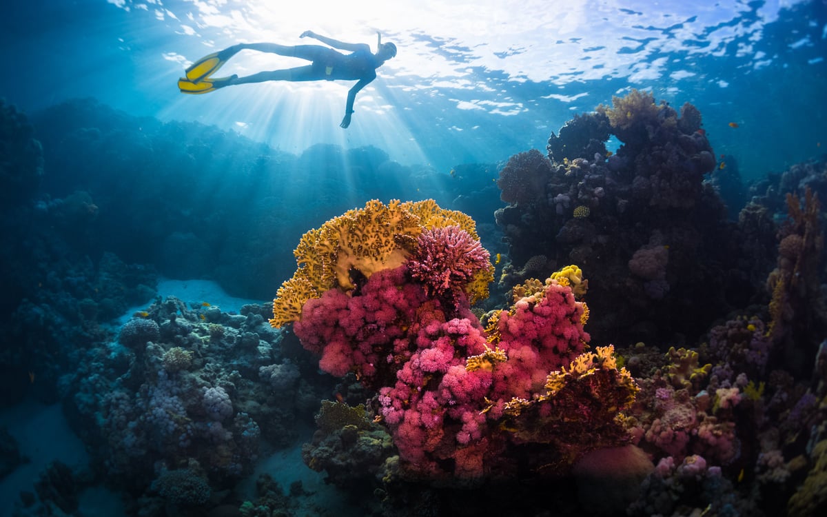 De charme van het noorden