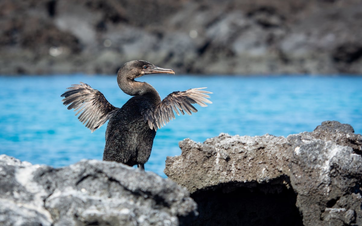 Natuurcruise langs de magische eilanden