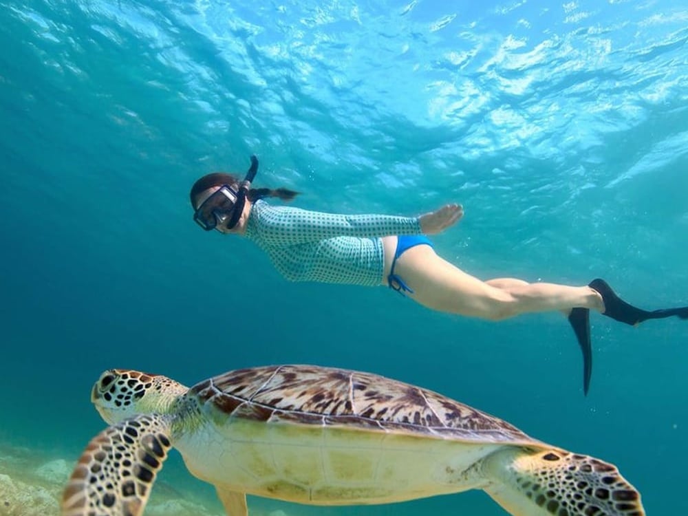 Ultiem Gezinsavontuur in Sri Lanka in de Zomer