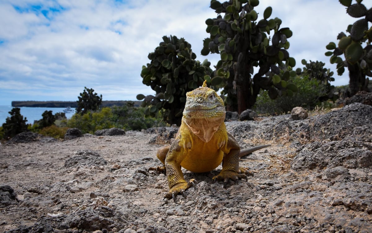 Natuurcruise langs de magische eilanden