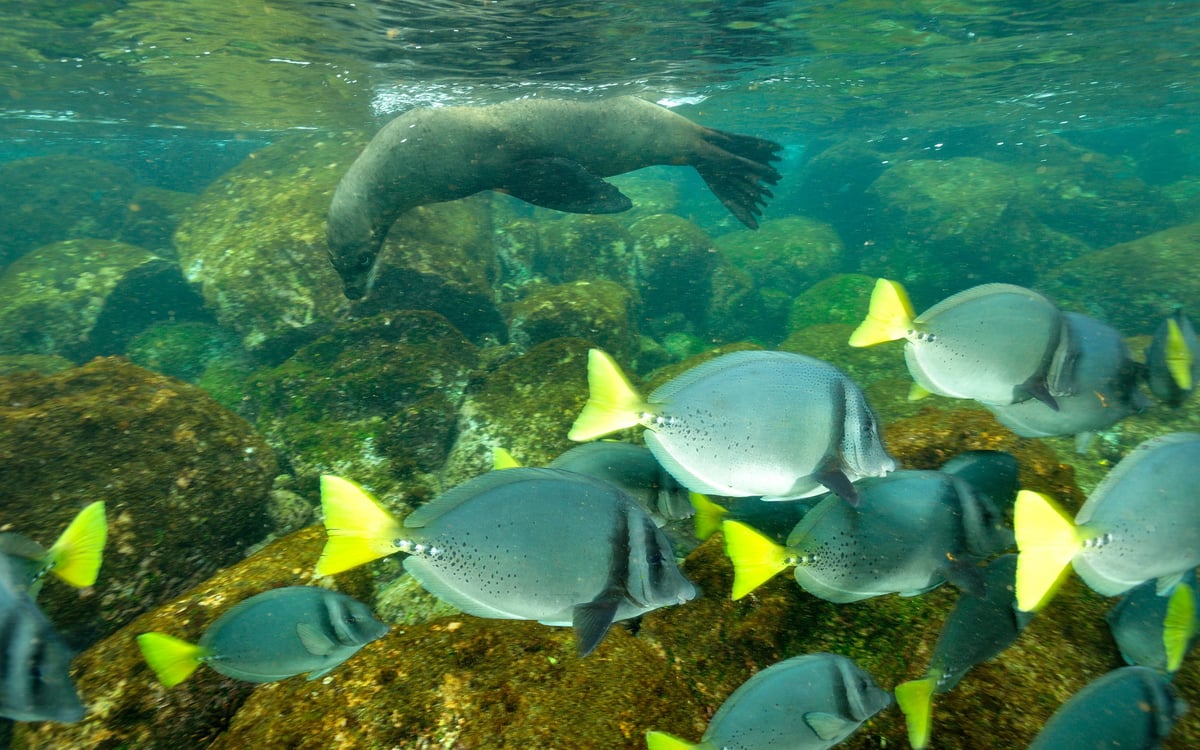 Eilandhoppen in het paradijs