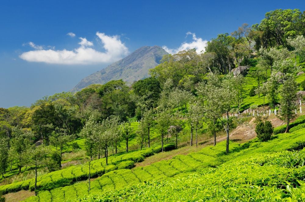 Actief door het dynamische zuiden