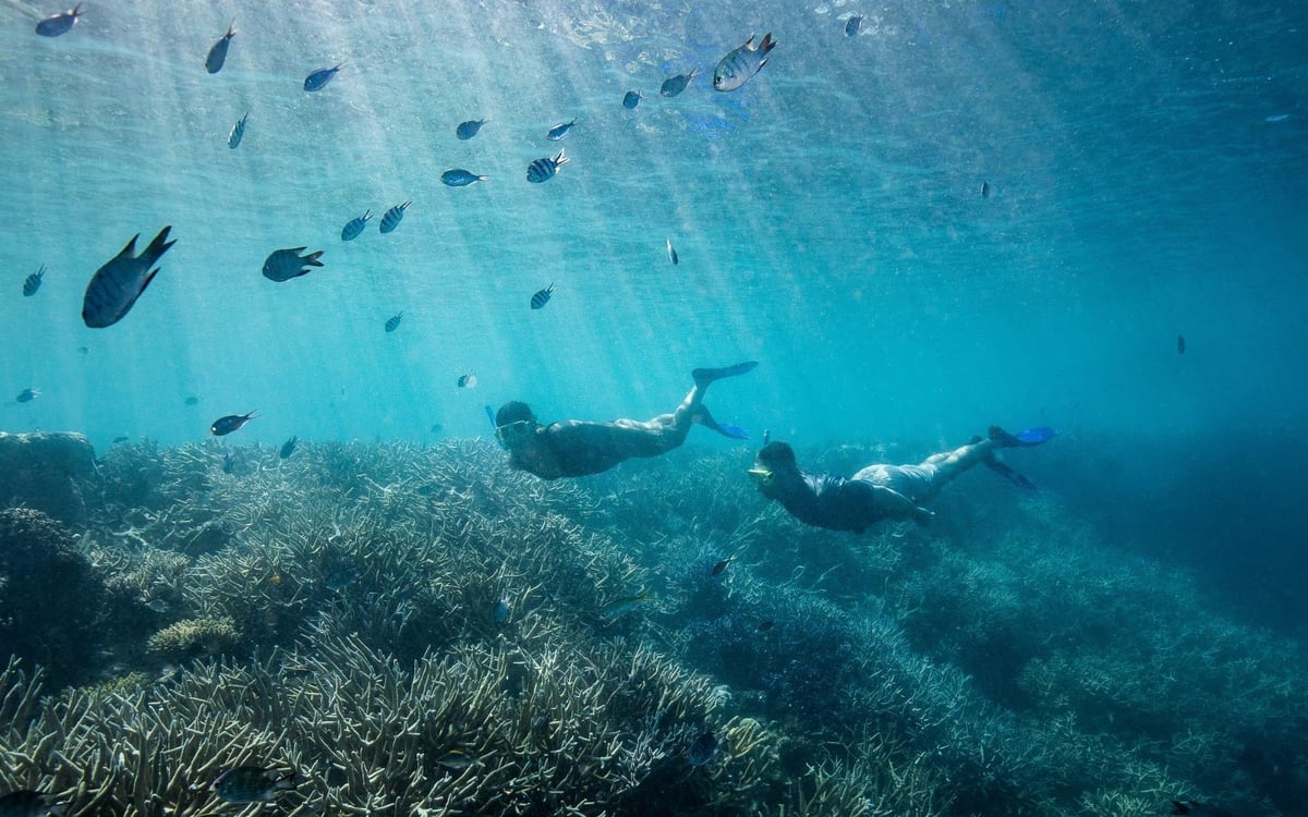 Kerst op het strand & Oud en Nieuw in Sydney: Een familiereis