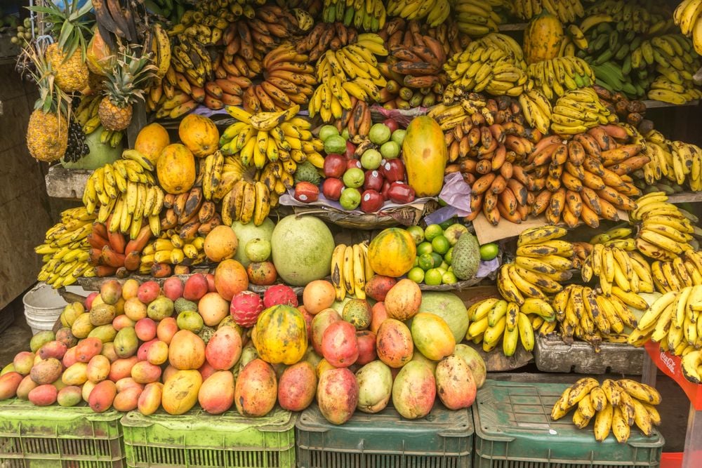 Familiereis langs de hoogtepunten