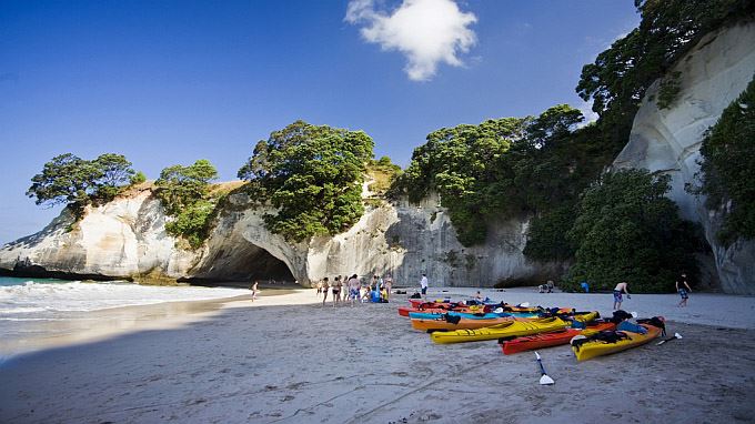New Zealand Adventure
