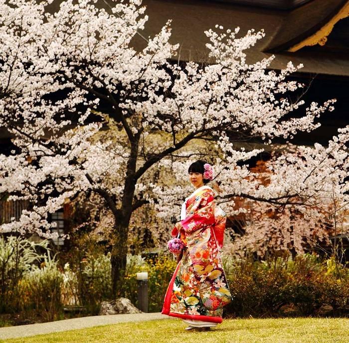 Groepsrondreis Japan Hoogtepunten