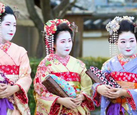 Japan rondreis de leukste